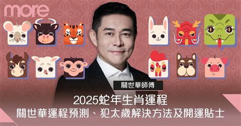 2025 蛇年|2025蛇年運程｜12生肖運勢全面睇+犯太歲4生肖+開運大